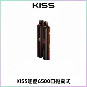 KIS5WAGOO哇酷6500口拋棄式 | 自由混搭雙口味 | 雙芯組合