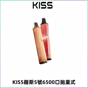 KIS5鎧斯5號一次性6500口磁吸式拋棄式電子煙#自由混搭#