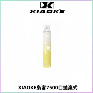 XIAOKE梟客7500Puffs跑馬燈拋棄式電子煙 可發光一次性